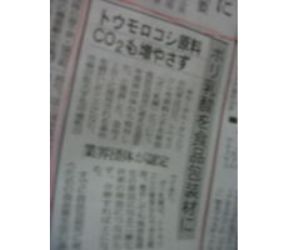 とうもろこしの発泡樹脂 記事