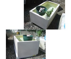 淡水魚飼育容器2