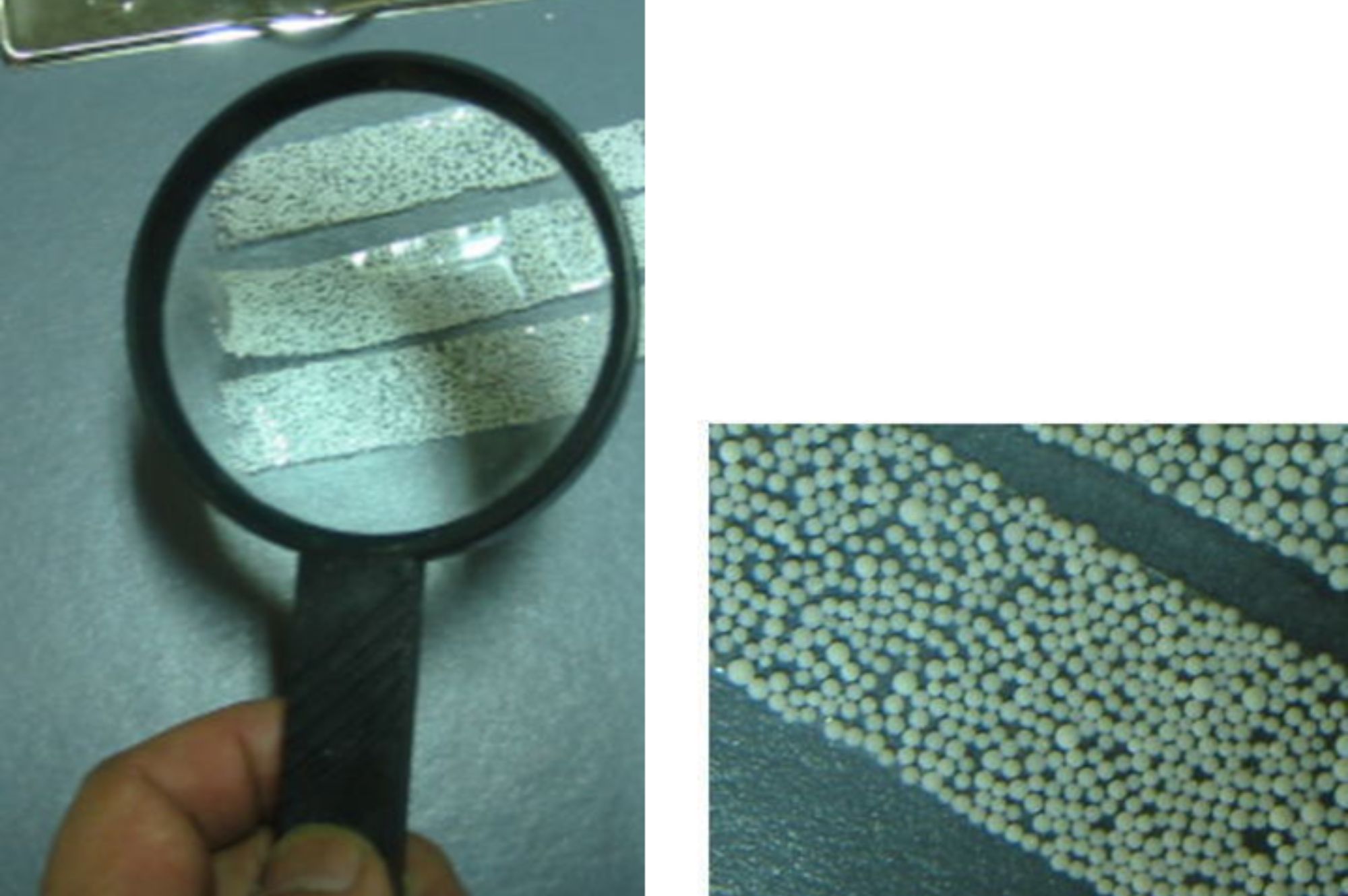 発泡スチロール マイクロビーズ