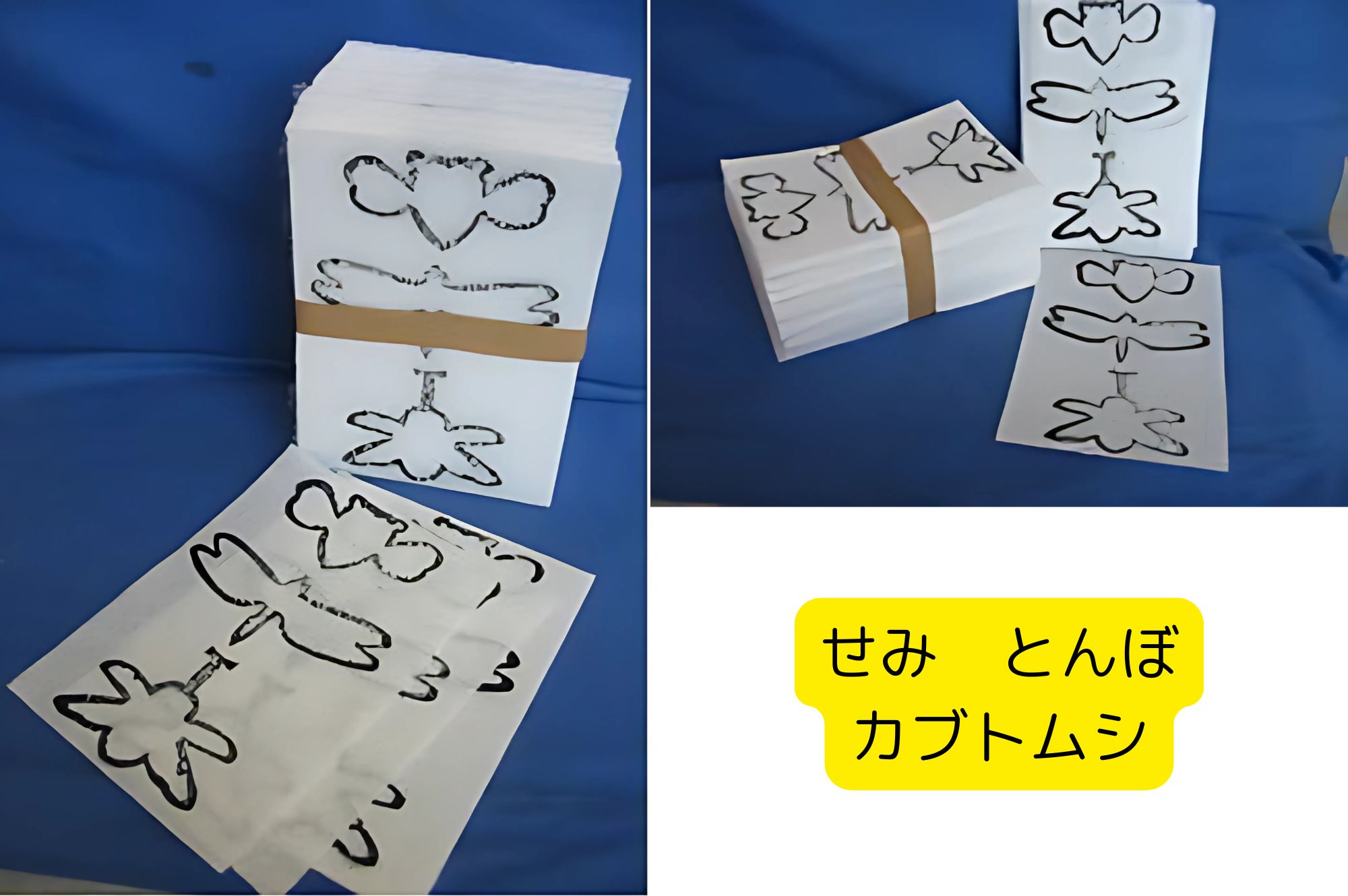 せみ トンボ カブトムシ