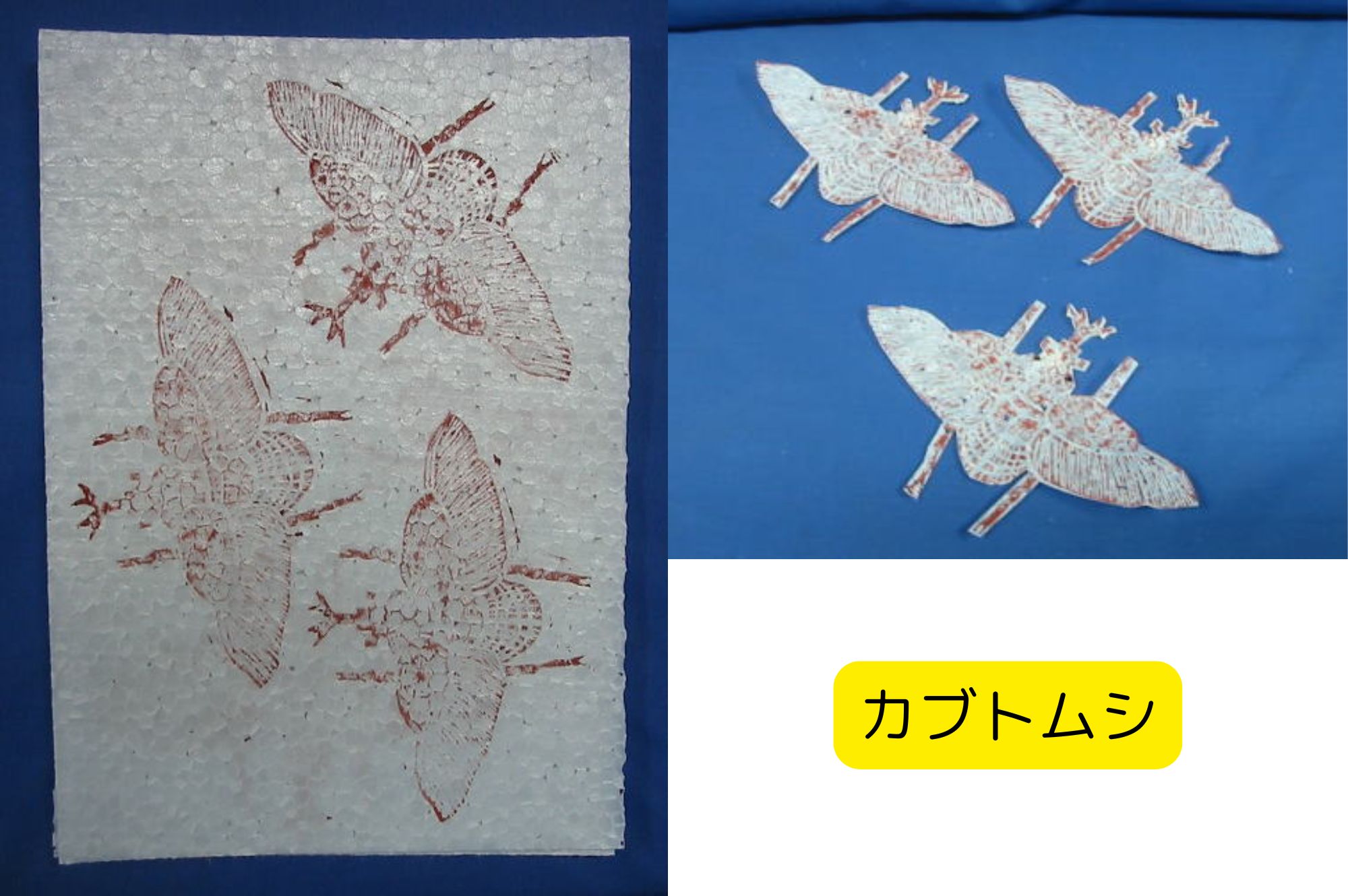 発泡スチロールペーパー カブトムシ