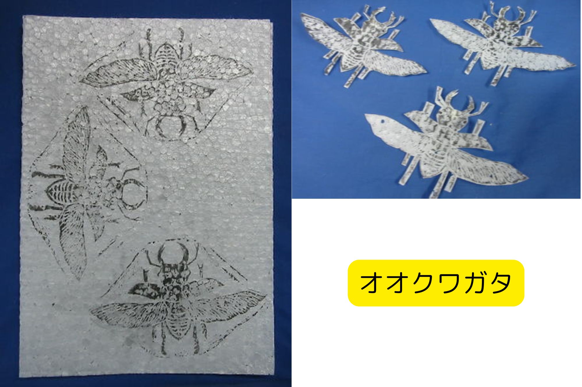 発泡スチロールペーパー オオクワガタ