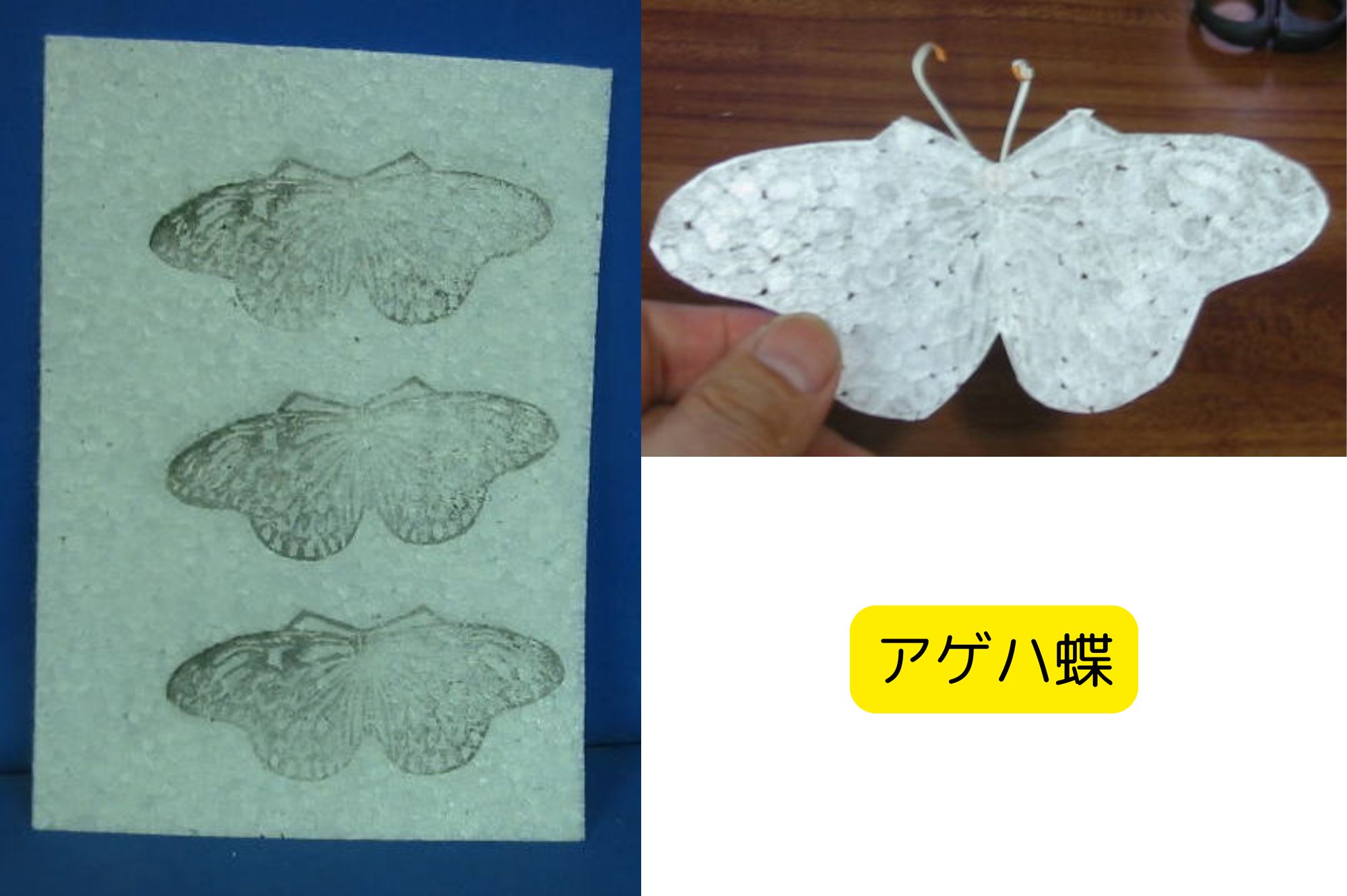 発泡スチロールペーパー アゲハ蝶