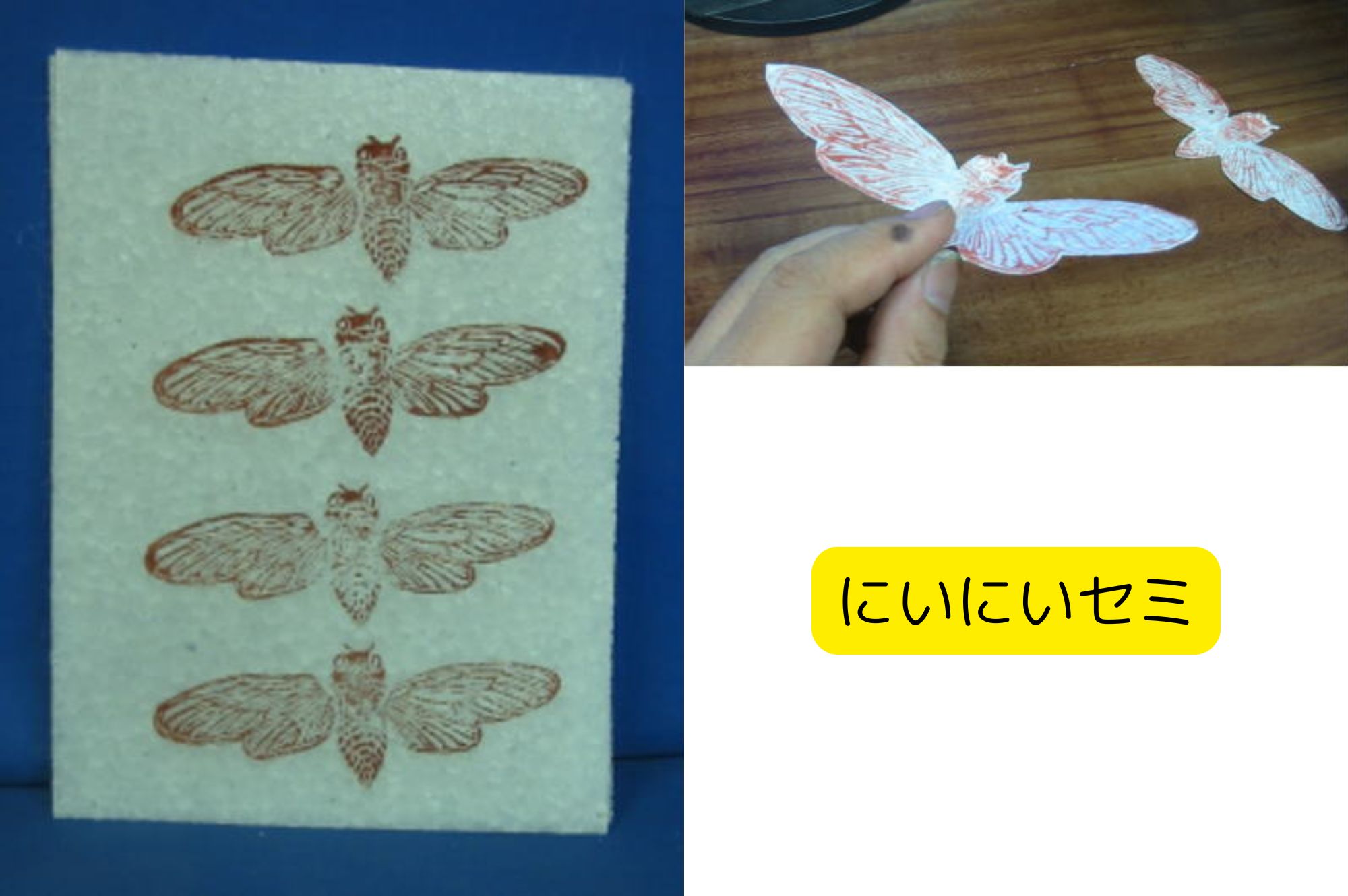 発泡スチロールペーパー にいにいセミ