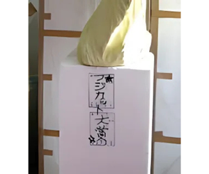 フジカット大賞