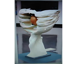 07年 第67回 美術文化展