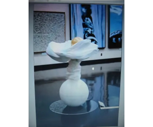 07年 第67回 美術文化展6