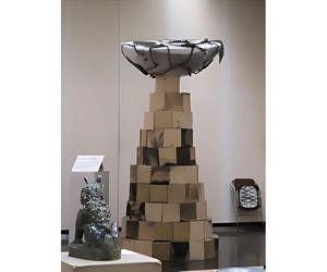 土のちから展から2