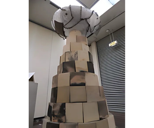 土のちから展から3