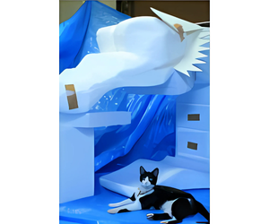 「ドラゴンヘッド」の製作風景12