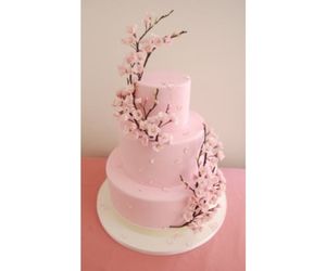 3段式ケーキの芯材4