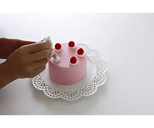 ケーキ用芯材 小型