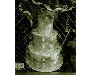 3段ケーキ お客様使用例5