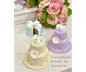 2段ケーキ 小型 使用例