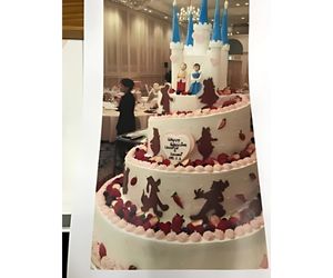 欧風城郭型ケーキ芯材2