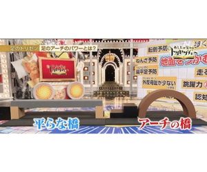 アーチ橋と平たい橋がテレビ出演