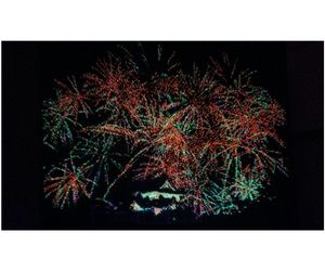 わが町のシンボル『花火に映える彦根城』