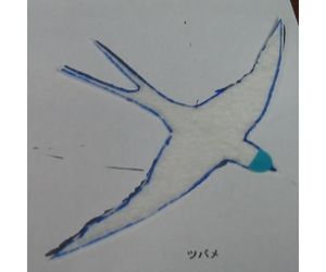 発泡スチロールペーパーで「ふわふわ鳥」  簡単な作り方と飛ばし方2