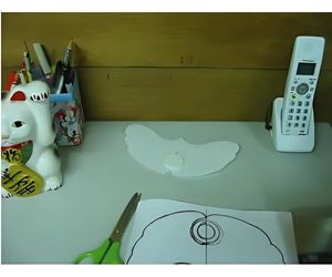 「アルソミトラ マクロカルバの種子」