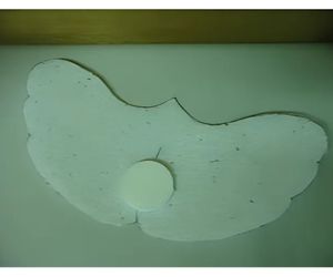 「アルソミトラ マクロカルバの種子」2