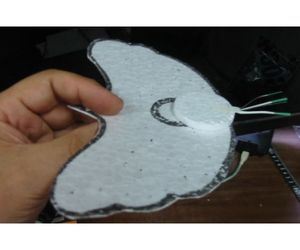 「アルソミトラ マクロカルバの種子」4