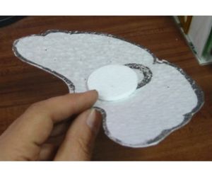 「アルソミトラ マクロカルバの種子」5