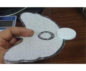 「アルソミトラ マクロカルバの種子」6