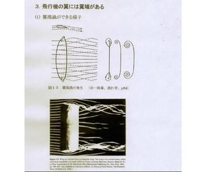 発泡スチロールペーパーの表面構造について4