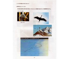 発泡スチロールペーパーの表面構造について5