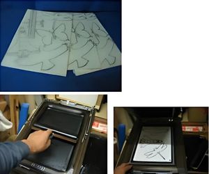 みんなで不思議でよく飛ぶ「ふわふわ鳥」を作って遊ぼう!2