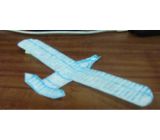 ライト兄弟のライトフライヤー1号