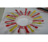 インフルエンザウイルス