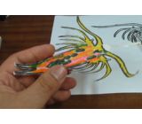 プランクトンの遊泳