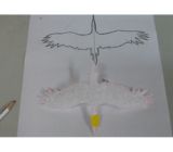 コウノトリの紙飛行機