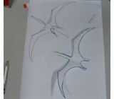 翼竜プテラノドン