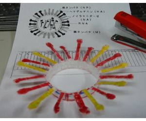 インフルエンザウイルス