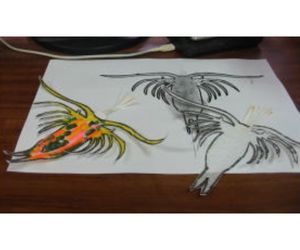 プランクトンの遊泳 ひげの生えたミジンコ2