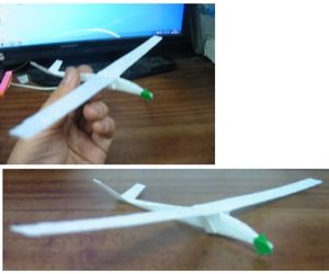 鳥人間のグライダー