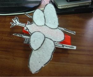 カブトムシの紙飛行機4