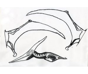 翼竜プテラノドンの紙飛行機4