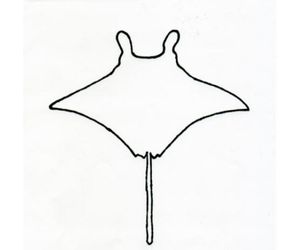 マンタの紙飛行機6