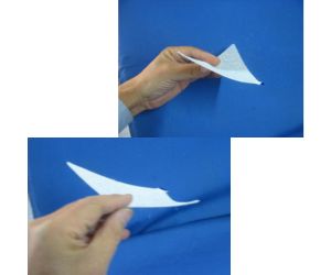 飛び続ける直角二等辺三角形