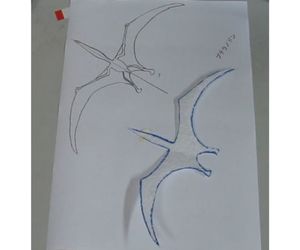 翼竜プテラノドンの飛ばし方