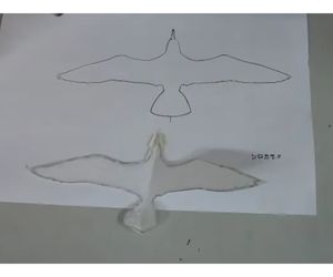 シロカモメの飛ばし方2