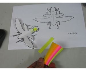 発泡スチロールペーパーのオオクワガタ