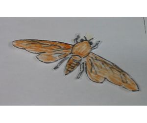 アブラゼミ型紙飛行機