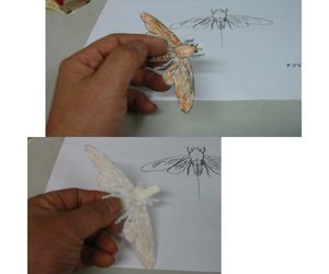 アブラゼミ型紙飛行機2