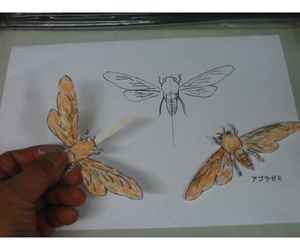 アブラゼミ型紙飛行機4