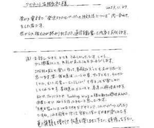 クリスマスに発泡スチロールペーパーの紙飛行機をご使用
